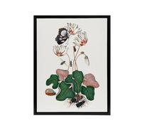 Artery8 Cyclamen Butterfly Beetles & Shell Bolton Black Framed Canvas Art in White | Size: W24" x H32" Artery8 White W24" x H32"