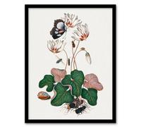 Artery8 Cyclamen Butterfly Beetles & Shell Bolton Framed Wall Art Print in White | Size: A4 Artery8 White A4