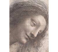 Artery8 Da Vinci Head Virgin Three-Quarter View Facing Right Drawing XL Giant Panel Poster (8 Sections)