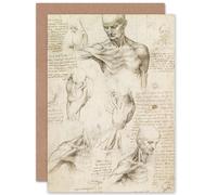 Artery8 Da Vinci Superficial Anatomy Of Shoulder And Neck Fine Art Greeting Card Plus Envelope Blank Inside