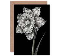 Artery8 Daffodil Flower Black White for Wife Her Mum Sister Daughter Mom Gran Nan Birthday Thank You Get Well Soon Blank Art Greeting Card