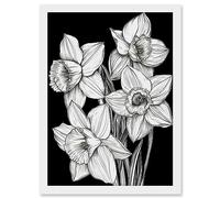 Artery8 Daffodil Wildflower Plant Blooms Black and White Artwork Framed Wall Art Print A4