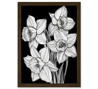 Artery8 Daffodil Wildflower Plant Blooms Black and White Artwork Framed Wall Art Print A4