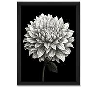Artery8 Dahlia Flower Bloom White on Black Illustration Artwork Framed A3 Wall Art Print
