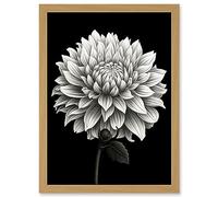 Artery8 Dahlia Flower Bloom White on Black Illustration Artwork Framed A3 Wall Art Print