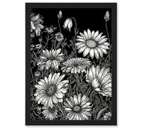 Artery8 Daisy Flower Field Black and White Illustration Artwork Framed A3 Wall Art Print