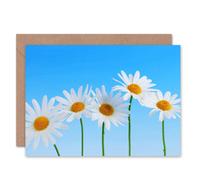 Artery8 Daisy Flowers Blue Sky Bright Wildflowers Floral Nature Card Artery8 Multicolor