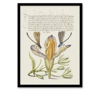 Artery8 Damselflies on Spanish Iris Calligraphy Framed Wall Art Print in Beige | Size: W12" x H16" Artery8 Beige W12" x H16"