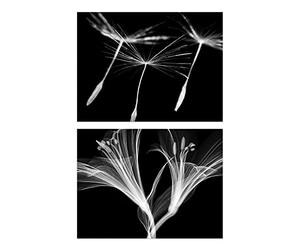 Artery8 Dandelion And Lily X-Ray Set Of 2 Unframed Wall Art Prints Bedroom Bathroom Aesthetic Black White Photo 12X16 Inch