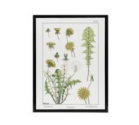 Artery8 Dandelion Flower Framed Canvas Wall Art Print Vintage Floral Verneuil in White | Size: W24" x H32" Artery8 White W24" x H32"