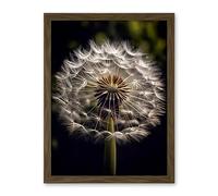 Artery8 Dandelion Flower Pappus Macro Photograph Dark Close Up Detail Artwork Framed Wall Art Print 18X24 Inch