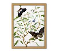 Artery8 De Wit Two Exotic Butterflies Blooming Bush Artwork Framed Wall Art Print 18X24 Inch