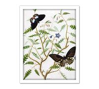 Artery8 De Wit Two Exotic Butterflies Blooming Bush Artwork Framed Wall Art Print 18X24 Inch
