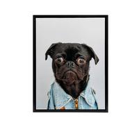 Artery8 Deluvio Pug Puppy Dog In Jacket Framed Canvas Wall Art Print in Light Grey | Size: W12" x H16" Artery8 Light Grey W12" x H16"