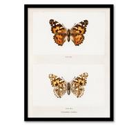 Artery8 Denton Framed Wall Art Painted Lady Butterfly Vintage Illustration in White | Size: A4 Artery8 White A4