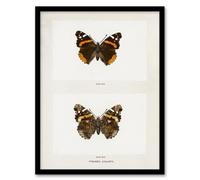 Artery8 Denton Framed Wall Art Red Admiral Butterfly Vintage Illustration - A3 Size