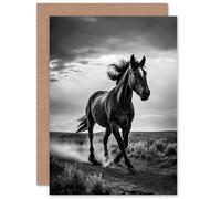 Artery8 Desert Horse B&W Equine Lover for Him or Her Man Woman Birthday Thank You Congratulations Blank Art Greeting Card