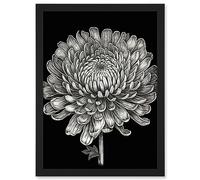 Artery8 Detailed Chrysanthemum Flower Bloom Illustration Artwork Framed A3 Wall Art Print