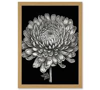 Artery8 Detailed Chrysanthemum Flower Bloom Illustration Artwork Framed A3 Wall Art Print