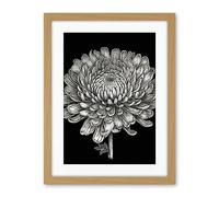 Artery8 Detailed Chrysanthemum Flower Bloom Illustration Artwork Framed Wall Art Print 18X24 Inch
