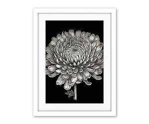 Artery8 Detailed Chrysanthemum Flower Bloom Illustration Artwork Framed Wall Art Print 18X24 Inch