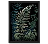 Artery8 Detailed Fern Frond Species Botanical Illustration Artwork Framed A3 Wall Art Print