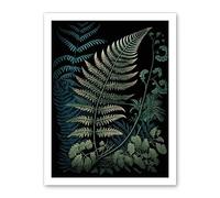 Artery8 Detailed Fern Frond Species Botanical Illustration Artwork Framed Wall Art Print 18X24 Inch