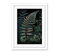 Artery8 Detailed Fern Frond Species Botanical Illustration Artwork Framed Wall Art Print 18X24 Inch