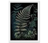 Artery8 Detailed Fern Frond Species Botanical Illustration Artwork Framed Wall Art Print A4