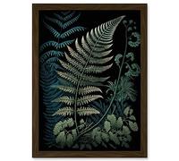 Artery8 Detailed Fern Frond Species Botanical Illustration Artwork Framed Wall Art Print A4