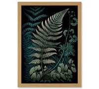 Artery8 Detailed Fern Frond Species Botanical Illustration Artwork Framed Wall Art Print A4