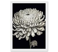Artery8 Detailed Illustration Chrysanthemum Bloom Flower Artwork Framed A3 Wall Art Print