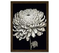 Artery8 Detailed Illustration Chrysanthemum Bloom Flower Artwork Framed Wall Art Print A4