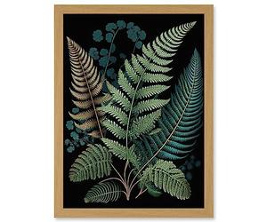 Artery8 Detailed Leaves Fern Fronds Botanical Illustration Artwork Framed A3 Wall Art Print