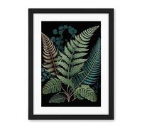 Artery8 Detailed Leaves Fern Fronds Botanical Illustration Artwork Framed Wall Art Print 18X24 Inch