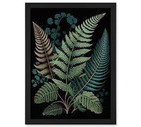 Artery8 Detailed Leaves Fern Fronds Botanical Illustration Artwork Framed Wall Art Print A4