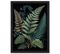 Artery8 Detailed Leaves Fern Fronds Botanical Illustration Artwork Framed Wall Art Print A4