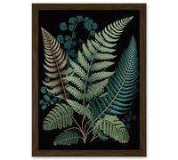 Artery8 Detailed Leaves Fern Fronds Botanical Illustration Artwork Framed Wall Art Print A4