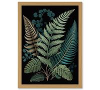 Detailed Leaves Fern Fronds Botanical Illustration Artwork Framed Wall Art Print A4 Artery8 Light Oak One Size