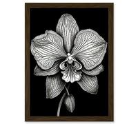 Artery8 Detailed Orchid Flower Petals in Black and White Artwork Framed A3 Wall Art Print