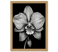 Artery8 Detailed Orchid Flower Petals in Black and White Artwork Framed A3 Wall Art Print