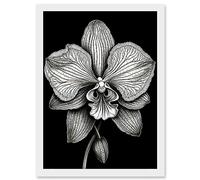 Artery8 Detailed Orchid Flower Petals in Black and White Artwork Framed A3 Wall Art Print