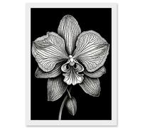 Artery8 Detailed Orchid Flower Petals in Black and White Artwork Framed Wall Art Print A4