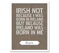 Artery8 Dictionary Page Quote St Patricks Day Ireland Irish Artwork Framed Wall Art Print 9X7 Inch