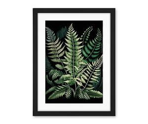 Artery8 Different Fern Fronds Detailed Leaves Illustration Artwork Framed Wall Art Print 18X24 Inch