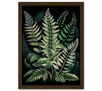 Different Fern Fronds Detailed Leaves Illustration Artwork Framed Wall Art Print A4 Artery8 Brown One Size