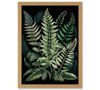 Different Fern Fronds Detailed Leaves Illustration Artwork Framed Wall Art Print A4 Artery8 Light Oak One Size