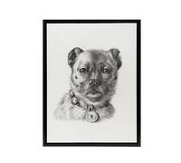 Artery8 Dog head with a Collar Pencil Drawing Bernard Framed Canvas Wall Art in White | Size: W24" x H32" Artery8 White W24" x H32"