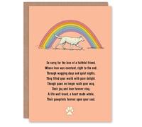 Artery8 Dog Sympathy Greeting Card - Cute Rainbow Poem Design, Pet Loss Bereavement, Blank Inside