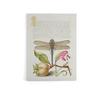 Artery8 Dragonfly Pear & Carnation Calligraphy Canvas Wall Art Print in White | Size: W24" x H32" Artery8 White W24" x H32"